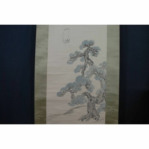 Japanese authentic blue pine - blue,
