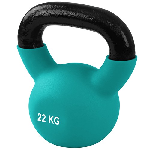Ironman 22kg cast iron - iron, coated