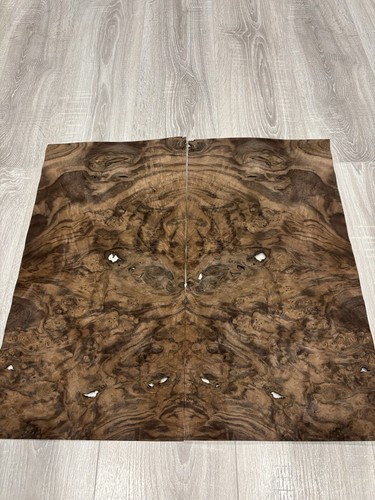 Burr walnut natural wood - burr,