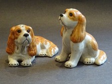 Cavalier King Charles English
