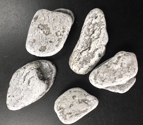 Pieces charmouth beef - 5,