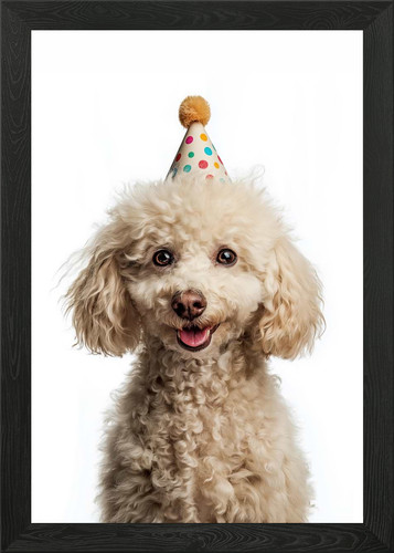 Poodle dog with party hat - with,