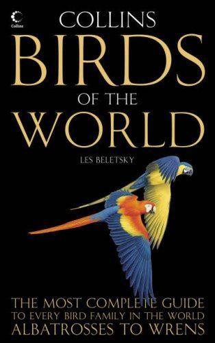 Birds the world - world:,