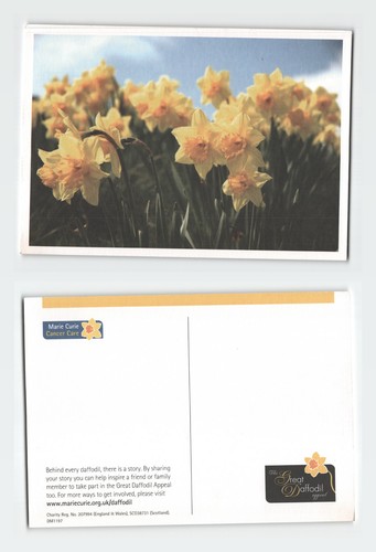 Vintage postcard marie curie - vintage,