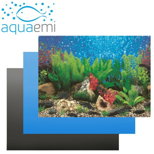 Aquarium background - aquarium,