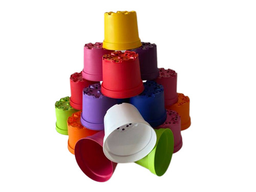 Coloured litre plant - x,
