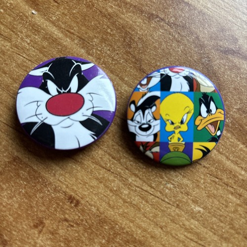 Two warner brothers pin - two,