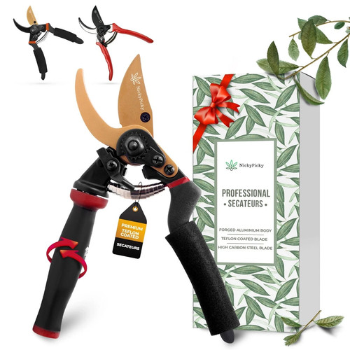 Secateurs heavy duty - secateurs,