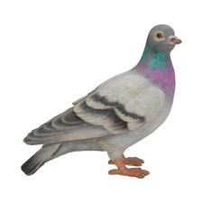 Vivid Arts 20cm Pigeon Garden