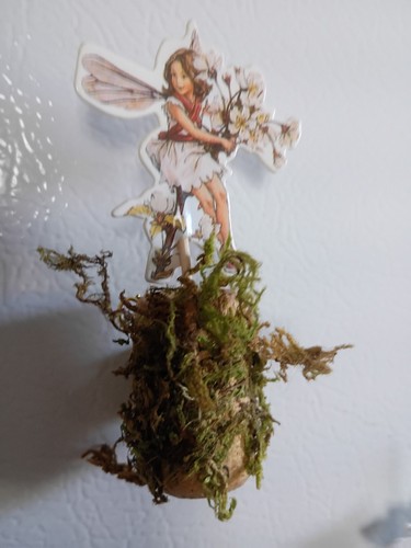Handmade fairy figure with - fairy,