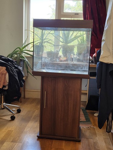 Fishtank needs clean but - fishtank,