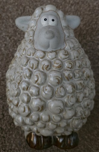 Cornish woolly sheep studio - woolly,