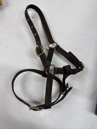 Foal nylon headcollar brown - foal,