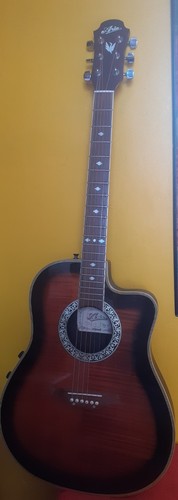 Aria acoustic guitar amb - aria,