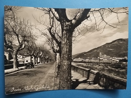 Fish viale - fish,