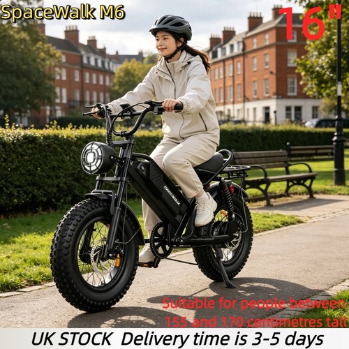 250w electric bike - 250w, tire