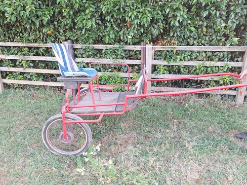 Pony exercise cart suit - pony,