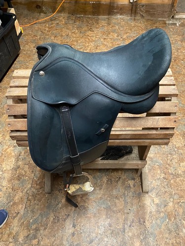 Wintec pony pro in - pony,