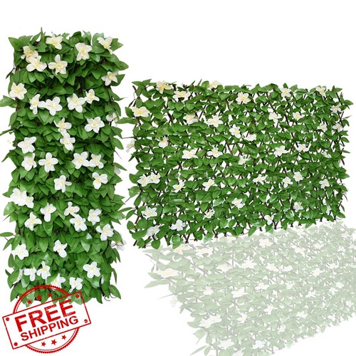 Joysfit white flower ivy - joysfit,