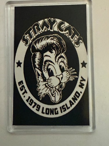 Stray cats american - stray, cats,