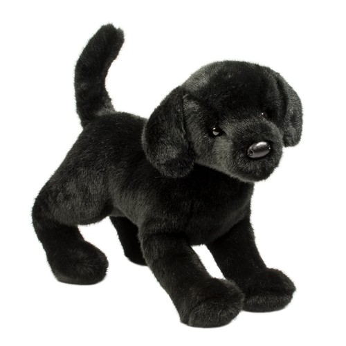 Douglas chester black lab - black, dog