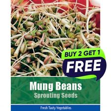 Vegetable Seeds UK Pumpkin Watermelon Strawberry Cabbage | Over 86 varieties