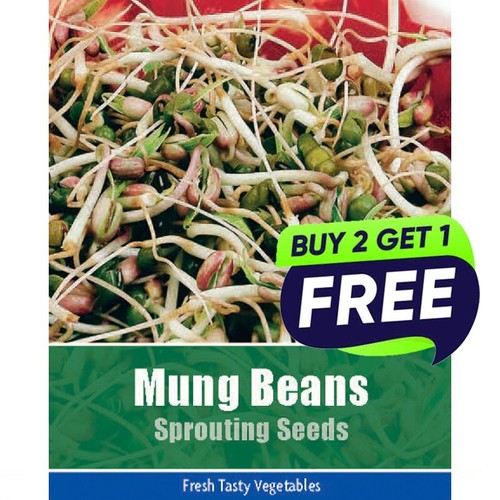 Vegetable seeds pumpkin - uk,