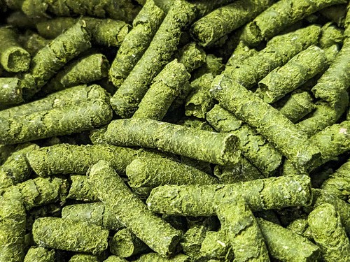 Spinach shrimp snail food - shrimp,