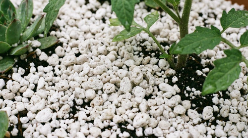 Premium perlite 1l 2l - 1l,