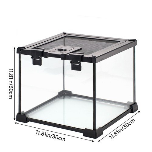 Glass reptile terrarium - reptile,
