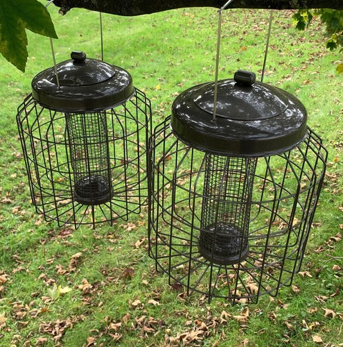 Squirrel proof hanging bird - squirrel,