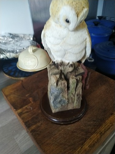 Leonardo owl with damaged - leonardo,