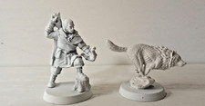 Dungeon and Dragons Pathfinder Frostgrave RPG Miniature Ranger And Wolf