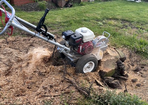 Stump removal service - stump,