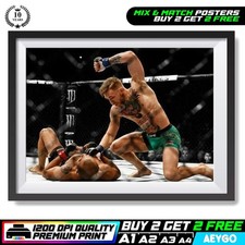 CONOR MCGREGOR UFC MMA GYM