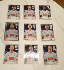 Panini EFL Sticker Collection
