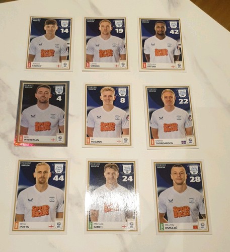 Panini efl sticker - panini, collection