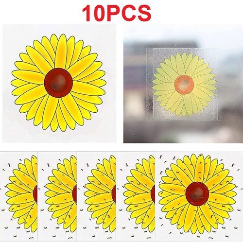 10x window fly traps floral - window,