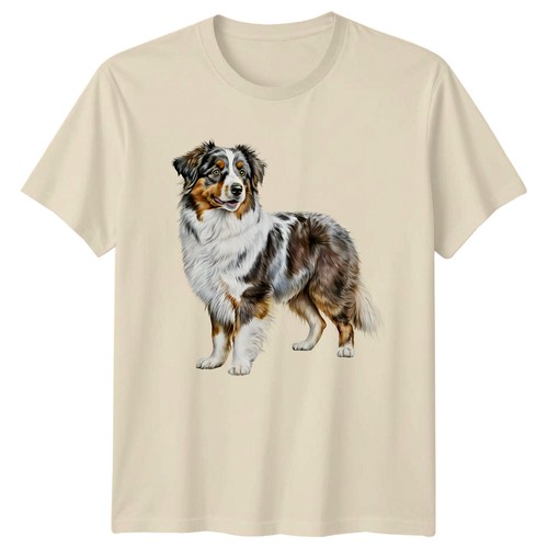 Australian shepherd dog - australian,
