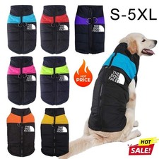 The Dog Face Large Winter Pet
