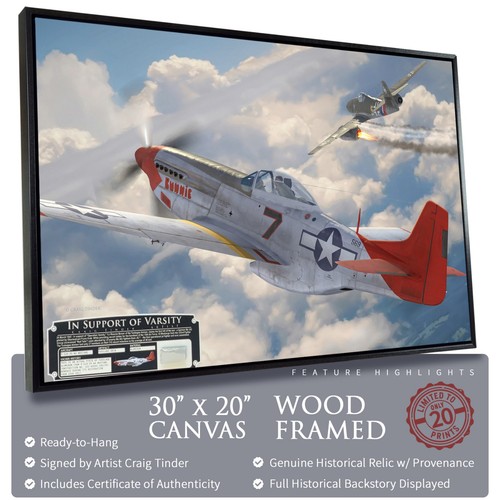Mustang tuskegee airmen - p-51, mustang-tuskegee