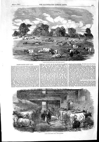 Original old antique print - original,