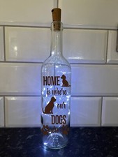 LED Light Up Bottles