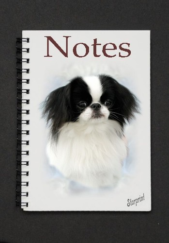 Japanese chin dog - chin,