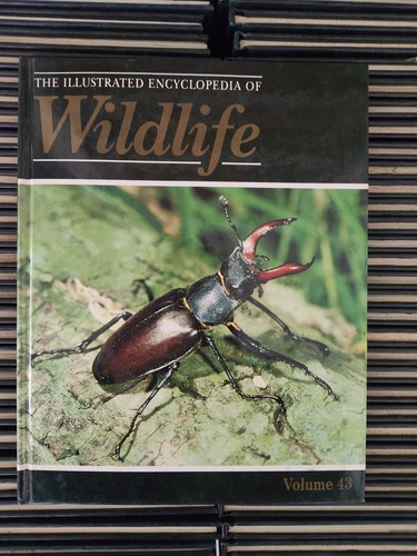 The illustrated encyclopedia - the,