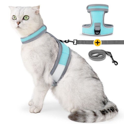 Reflective cat escape proof - reflective,