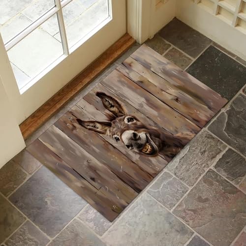 Indoor door mat - for, entryway