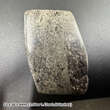 Fossil british dinosaur