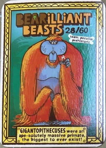 Yoyo bear cards bearilliant - bear,