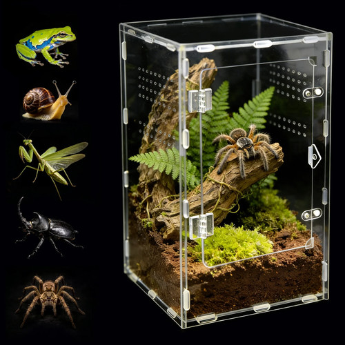 Acrylic jumping spider - jumping,